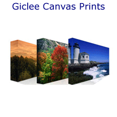 Canvas Art for Staging & Decorating