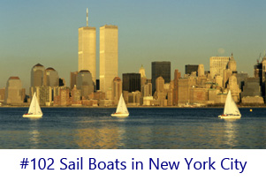 Sail Boats in New York City Screen Image